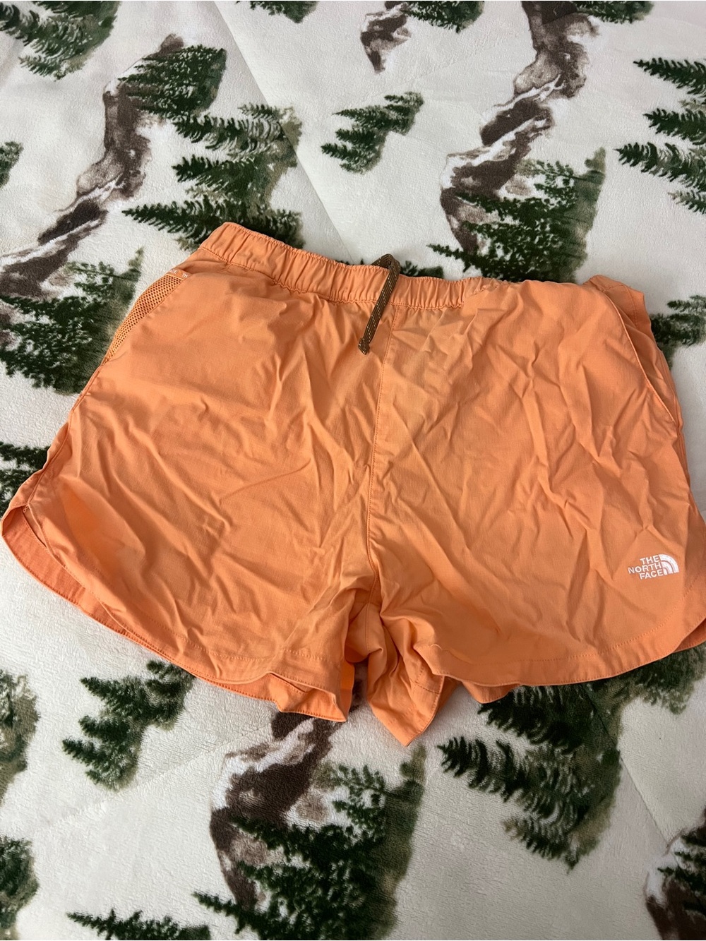 The North Face Class V Pathfinder Pull-On Athletic Shorts
